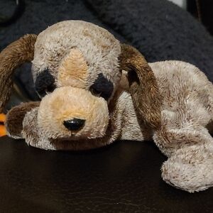 Russ Emerson Brown Dog with sad eyes